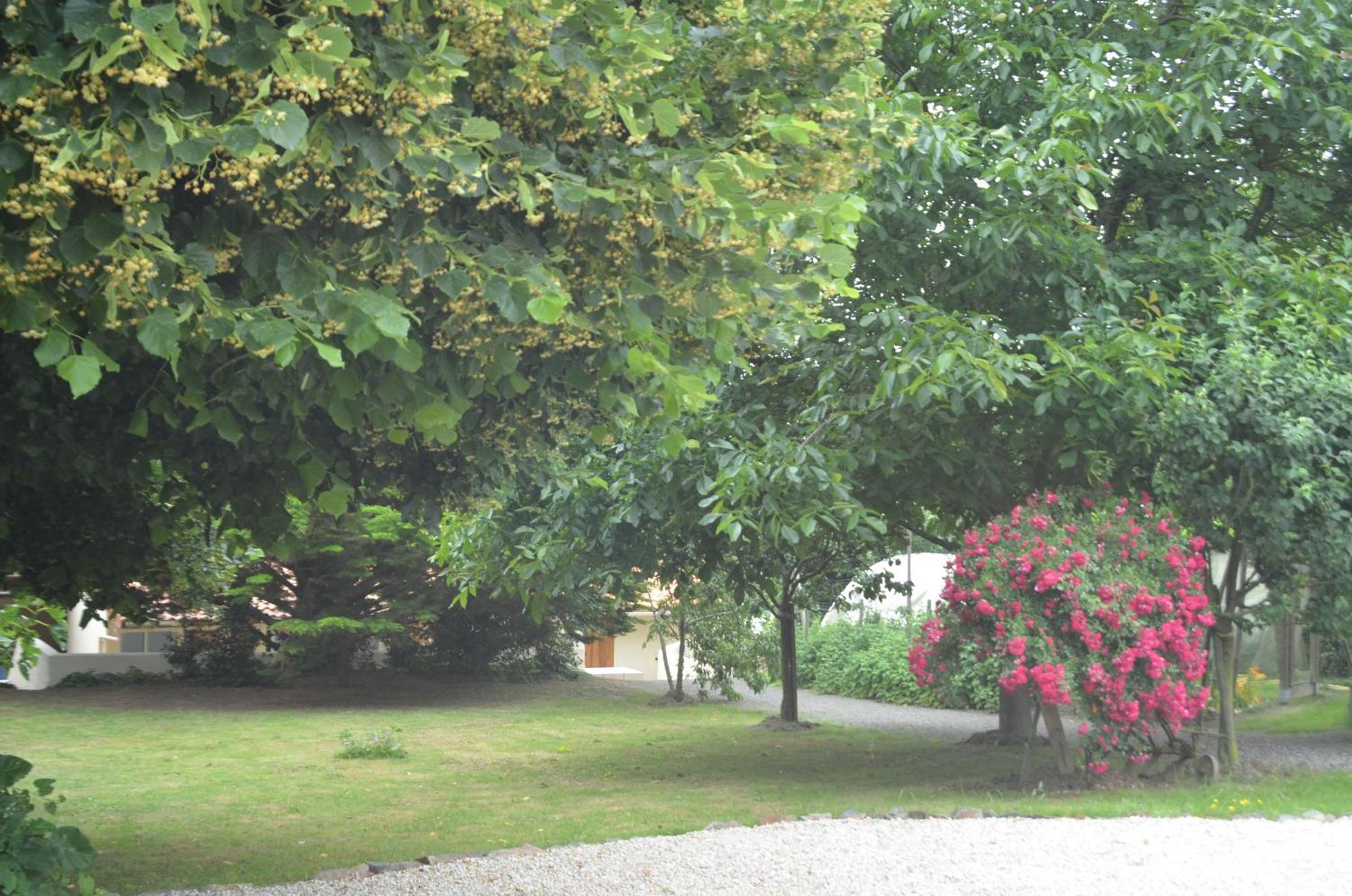 Chambres D'Hotes La Forterie Vairé Zewnętrze zdjęcie